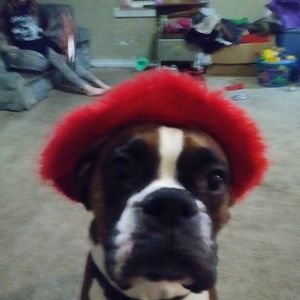 Meet your Posher, Peggy